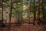 Sentier Lauriault / Lauriault Trail