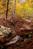 Petit ruisseau / Small Brook (Lauriault Tr.)