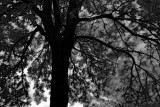Humeur sombre / Dark Mood
