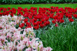 Kuekenhof011.JPG