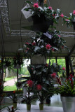 Kuekenhof023.JPG