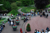 Kuekenhof120.JPG