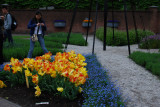 Kuekenhof244.JPG