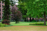 Den Bosch_100.JPG