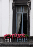 DSC_2225.jpg
