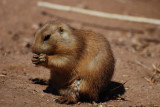 DSC_2983.jpg