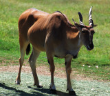 DSC_3047.jpg