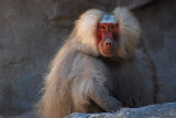 DSC_3122.jpg