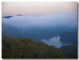 Foggy morning