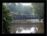 The bridge in summer