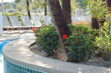 MB0068.JPG