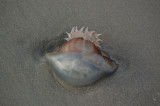 MB0106.JPG