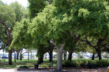 MB0224.JPG