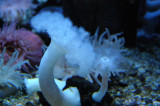 MB0308.JPG