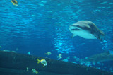 MB0323.JPG