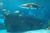 MB0324.JPG