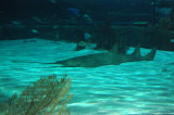 MB0325.JPG