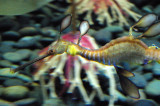 MB0331.JPG
