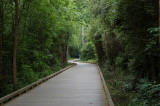 Suwanee Greenway