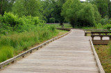 Suwanee Greenway trail head