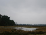 Stakenberger heide