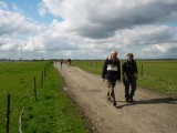 Gouverneursche polder