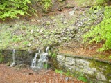 Sombornquelle