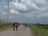 Op Noord-Beveland