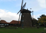 De molen op de Muhlenberg in Gildehaus (Ost - Mhle)