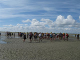 Wadlopen naar de schepen op Terschelling