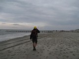 Paalhoofden op het strand van Ameland