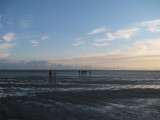 Het wad bij Schiermonnikoog