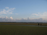 Het wad bij Schiermonnikoog