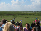 De duinen van Schiermonnikoog