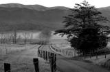 JPG CS BW HyattFog DSC_0485.jpg