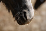 D3E_0093-900.jpg
