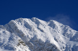 D7K_2181-900.jpg