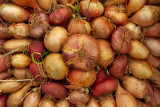 P1000136.jpg