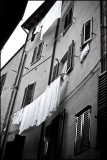 IMG_9033.jpg