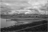 Black and white seaside.jpg