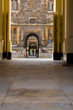 IMG_6464.jpg