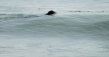 DSC_9856.jpg