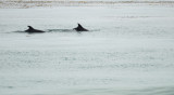 DSC_9872.jpg