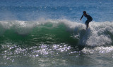 DSC_2811.jpg