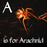 A is for arachnid.jpg