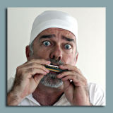 Playing the Blues Harp