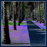 Follow your path...