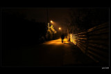 night walk2.jpg