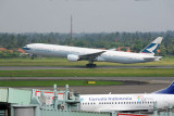 DSC_6484.jpg