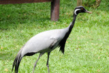 DSC_3239.jpg